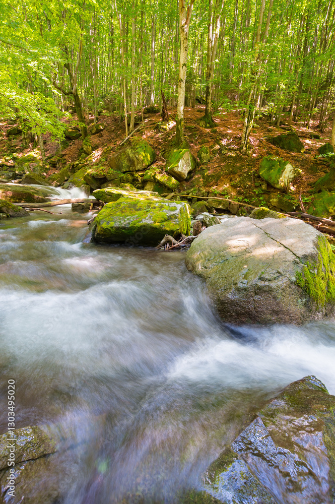 landscape with river in the beech forest. lush foliage on the trees. wild water stream among mossy rocks on a sunny day. idyllic recreation in transcarpathia