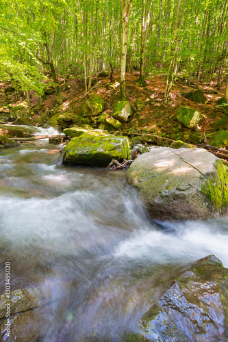 Obraz na płótnie landscape with river in the beech forest. lush foliage on the trees. wild water stream among mossy rocks on a sunny day. idyllic recreation in transcarpathia w salonie