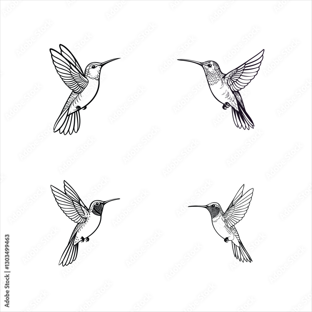 Obraz premium vector illustration of a hummingbird in mid-flight
