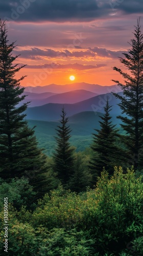 Sunset View Over Mountains With Pine Trees in Foreground Captures Serene Land...