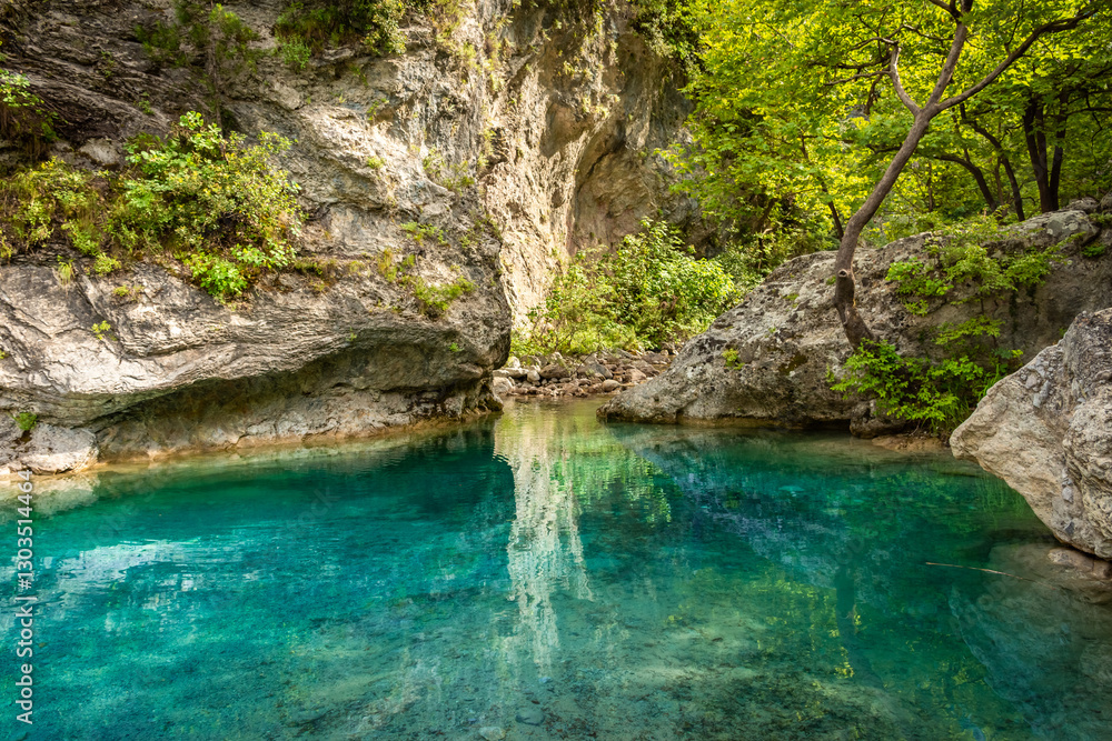 Crystal clear waters of natural springs and lake in the woods of the Mount Olympus, Greece