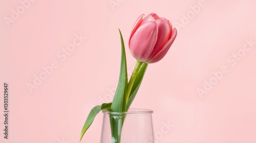 Pink Tulip in a Glass Vase - Delicate flower, soft lighting against a pastel pink backdrop. Floral elegance.
