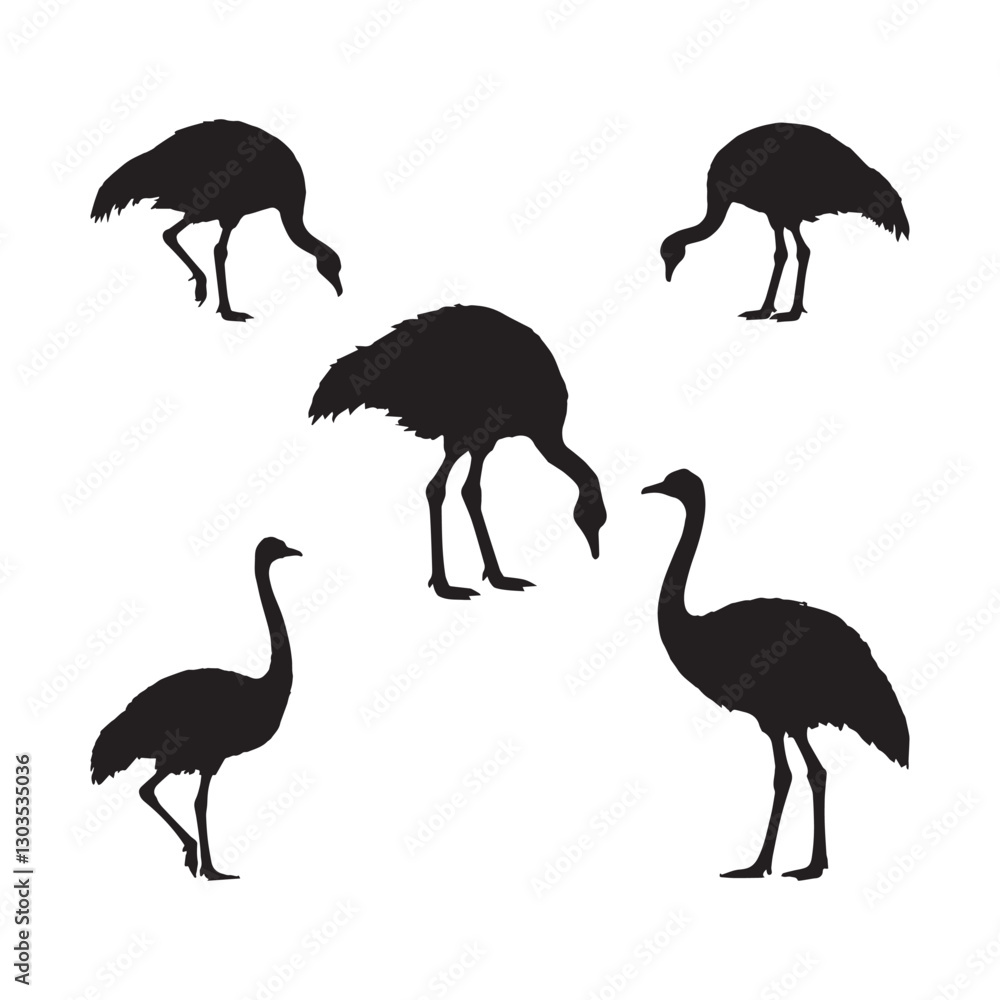 Obraz premium the ostrich vector silhouette 