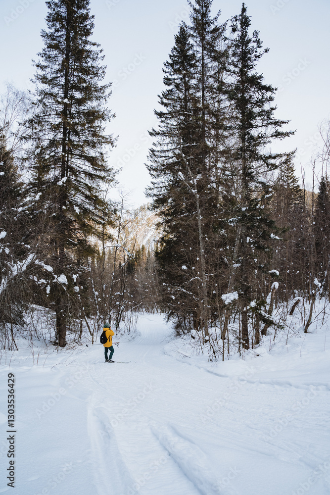 An individual is leisurely walking down a snowy, whitecovered path that winds its way through the dense woods, surrounded by tall trees and the beauty of winters embrace An individual is leisurely walking down a snowy, whitecovered path that winds its way through the dense woods, surrounded by tall trees and the beauty of winters embrace