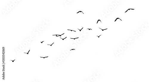 Flying birds silhouette flock. hand drawing. Not AI. Vector illustration.