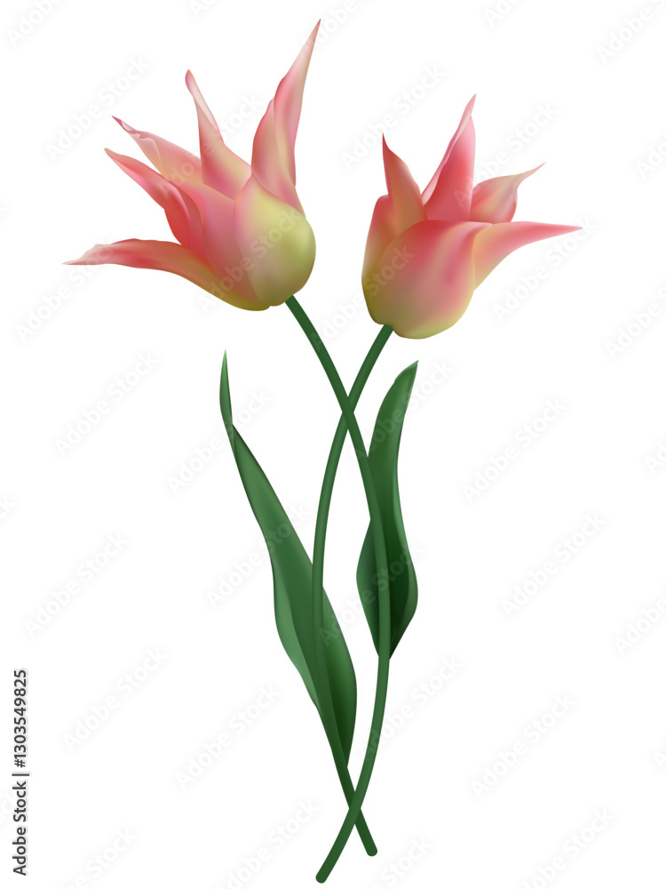 Obraz premium Spring flowers. Floral background. Buds. Pink. Green leaves. Beautiful vector illustration of pink tulips on a white background. Bouquet.