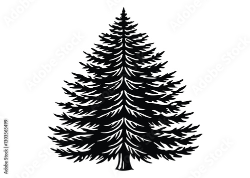 Silhouette of Spruce Tree isolated on a white background