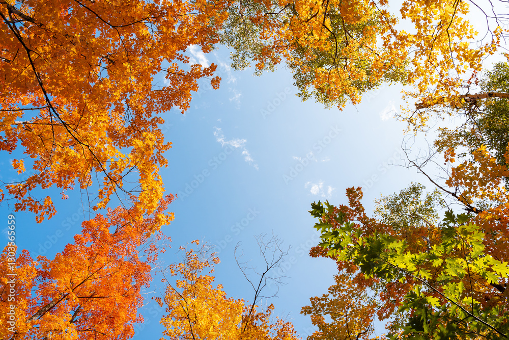 Blue sky and fall colors. Blue sky and fall colors.