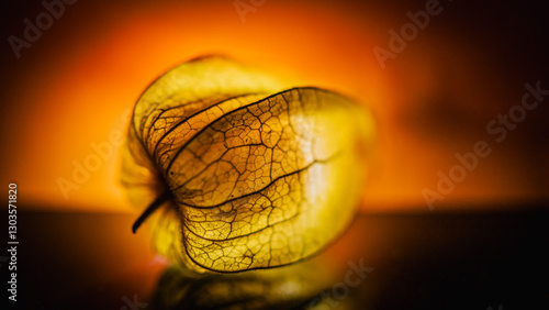 Physalis