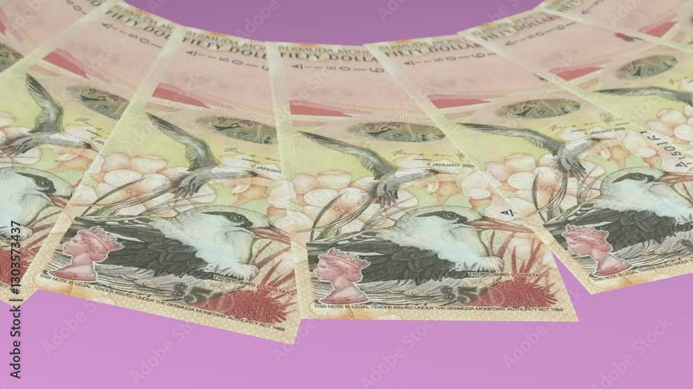 inspiring Looping Design 50 Dollar Curency of Bermuda inspiring Looping Design 50 Dollar Curency of Bermuda