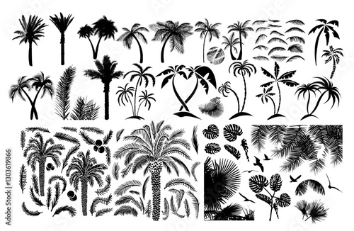 Hand drawn vintage Hawaii beach palms, Large set of tropical palm trees and palm leaves . Not AI, Vector illustration.