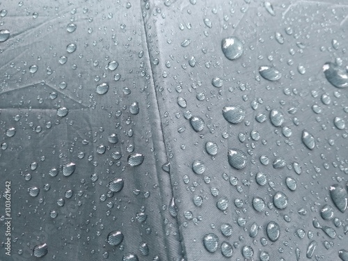 Wallpaper Mural Raindrops on the surface of the umbrella Torontodigital.ca