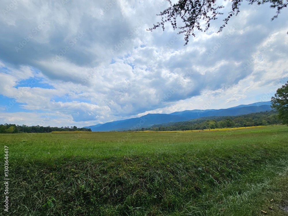 Fototapeta premium mountain sky 3