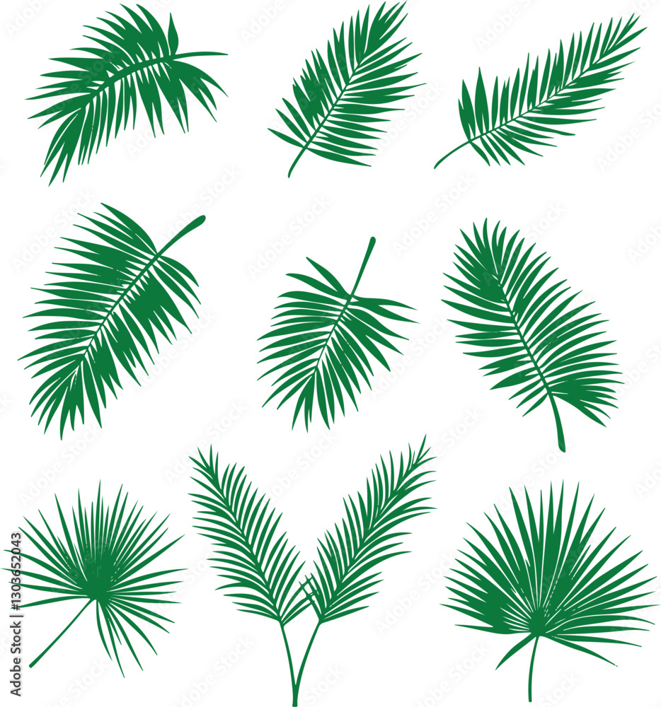 set of palm leaves silhouettes set of palm leaves silhouettes