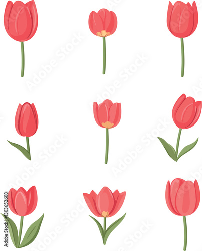 set of flat simple drawn tulips