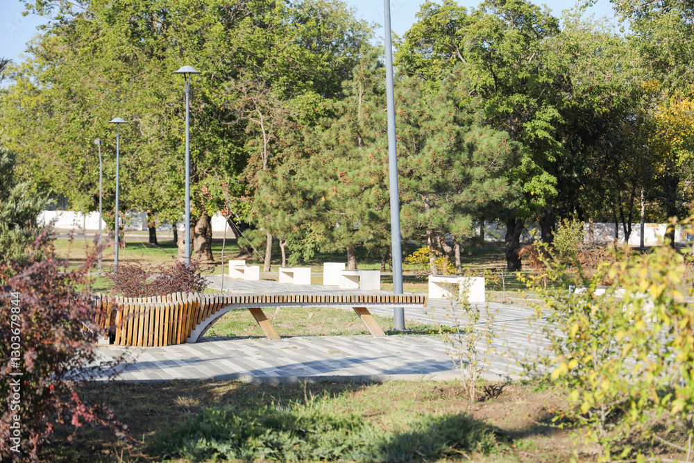 Obraz premium Beautiful autumn park with trees and benches on sunny day