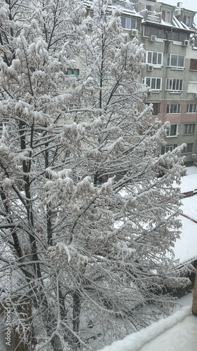 Frosty winter snow-covered day.