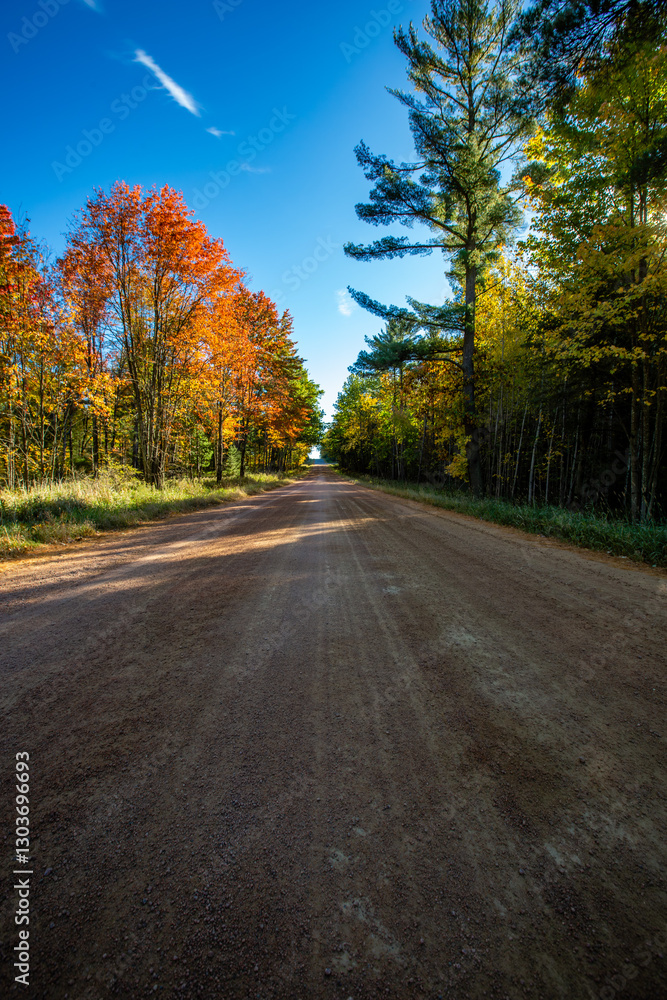 Fototapeta premium Colorful Wisconsin forest on a gravel road with blue sky in early October