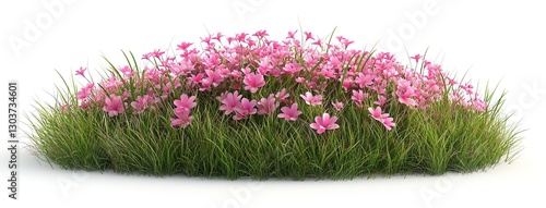 Isolated Pink Rain Lilies (Zephyranthes rosea) with Grass