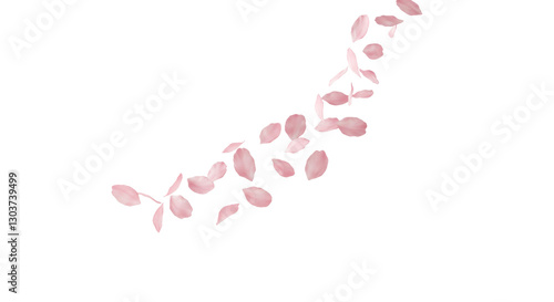 flying pink petals at transparent background, Cutout