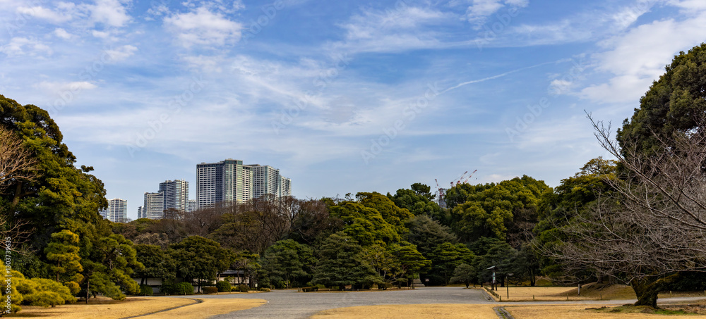 Fototapeta premium 東京散歩 梅満開の浜離宮あたり