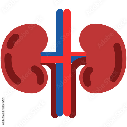 Kidneys icon. Vector kidney illustration.