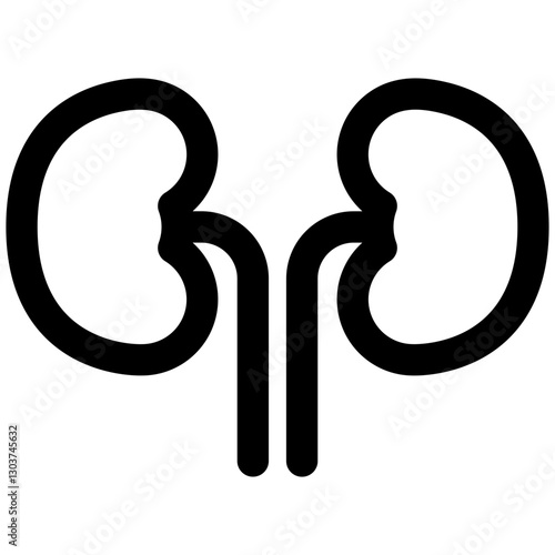 Kidneys icon. Vector line kidney illustration.