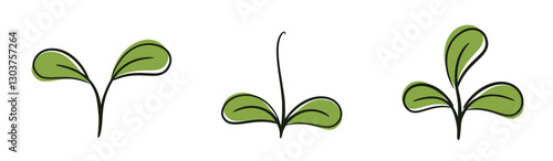 Plant sprout with rounded leaves illustrations. Growing, seedling and planting design elements. Isolated vector images
