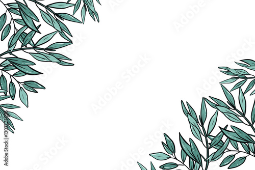 Vector Hand Drawn Doodle Style olives Leaves Frame Template on White Background Retro Vintage Style Leaves Texture. Green leaves template natural leaves seamless vector tropical and natural background
