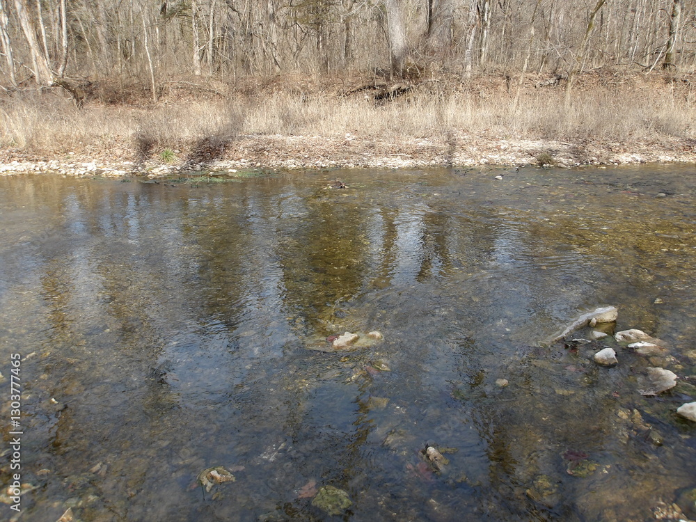 Fototapeta premium KODAK Digital Still Camera