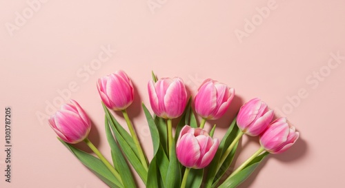 Wallpaper Mural Pink tulips on a pink background. A beautiful spring bouquet. Torontodigital.ca