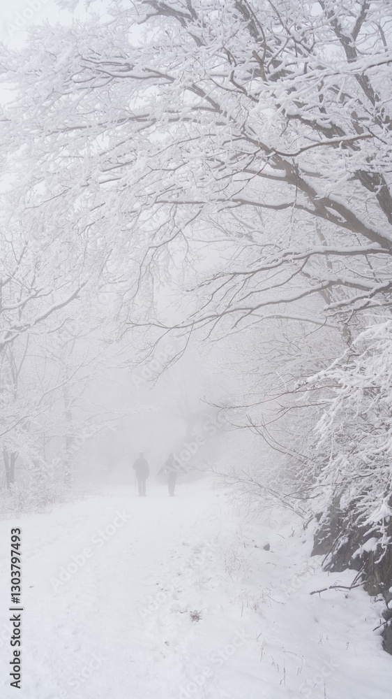 Winter snow flower scenery of Gajisan Mountain in Korea