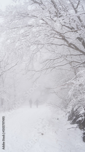 Obraz na płótnie Winter snow flower scenery of Gajisan Mountain in Korea w salonie