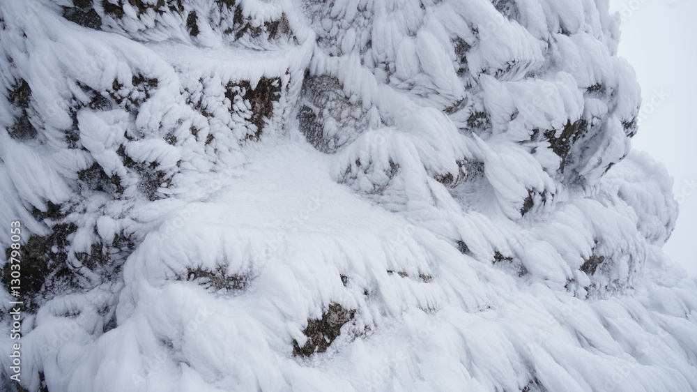 Winter snow flower scenery of Gajisan Mountain in Korea