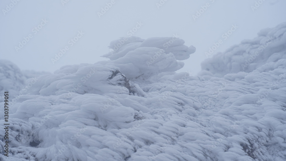 Winter snow flower scenery of Gajisan Mountain in Korea