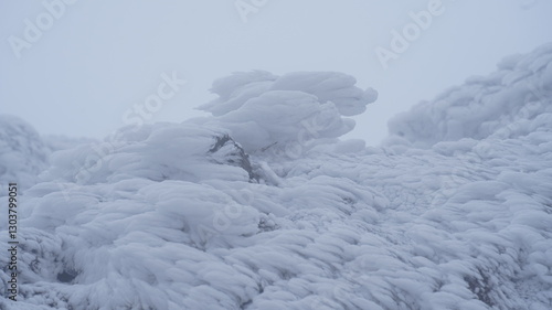 Obraz na płótnie Winter snow flower scenery of Gajisan Mountain in Korea w salonie
