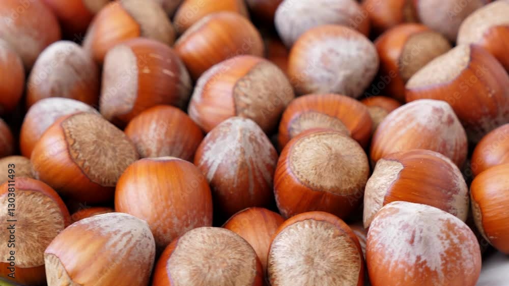 Hazelnut abstract background, top view. Rotate Hazelnut abstract background, top view. Rotate