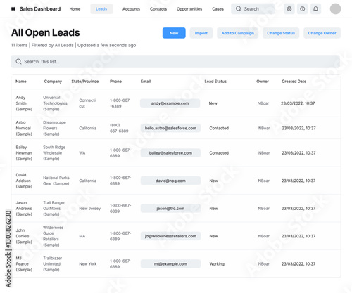 Sales CRM Platform, Leads Dashboard, Salesforce B2B Web App, Revenue Growth System UI Kit Template