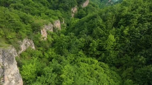 Drone view of Zalala Ridge, Dagestan, showing an endless expanse of alpine forests thriving in warm summer conditions.