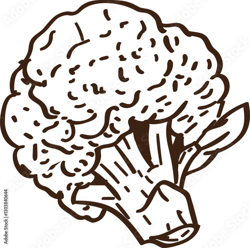 Broccoli simple sketch illustration 