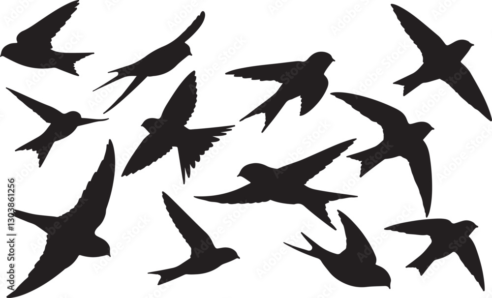Common Swift Silhouettes Common Swift Silhouettes