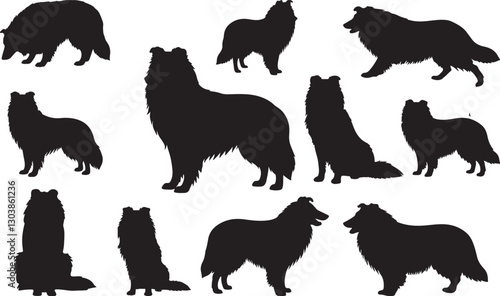 Collie Silhouette on White Background