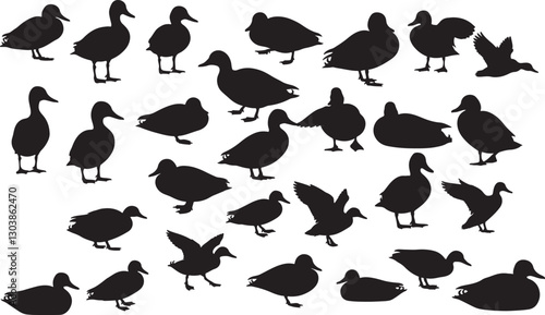 Gadwall Silhouettes