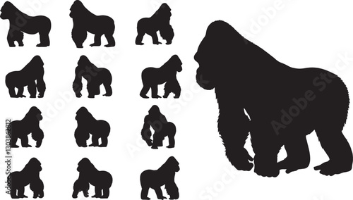 Gorilla Silhouette Set