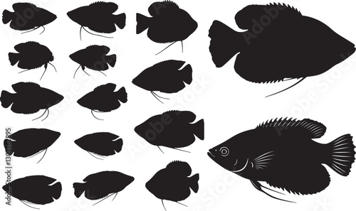 Gourami Silhouettes