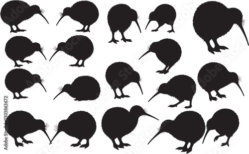 Kiwi Bird Silhouettes