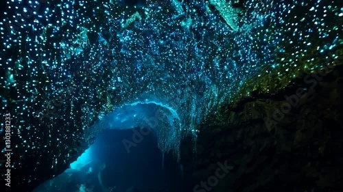 Stunning Glowworm Cave Ceiling, Waitomo, New Zealand. ProRes 422 4K.