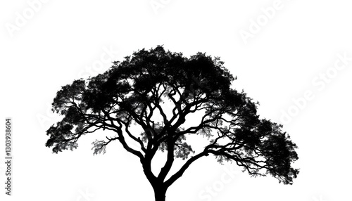 Single, majestic tree silhouetted against a pure white backdrop,  growth, picture