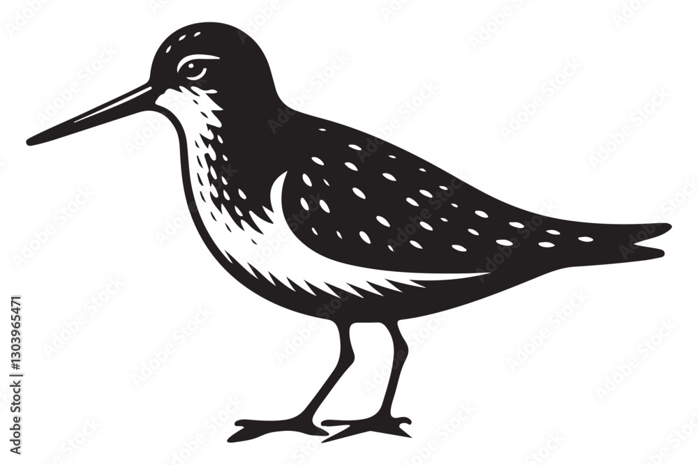 Obraz premium Detailed Bird Illustration of Dunlin Species Vector Artwork Image