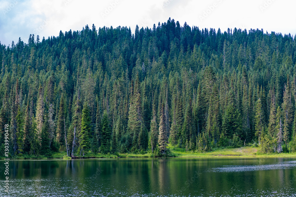 Obraz premium Lake in scenic nature. Scenic nature of hiking lake. Evergreen forest. Wilderness and adventure at forest. Lake with green landscape. Landscape of coniferous forest at lake. Nature landscape